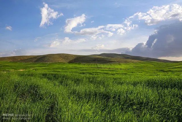 زمین شام اسبی