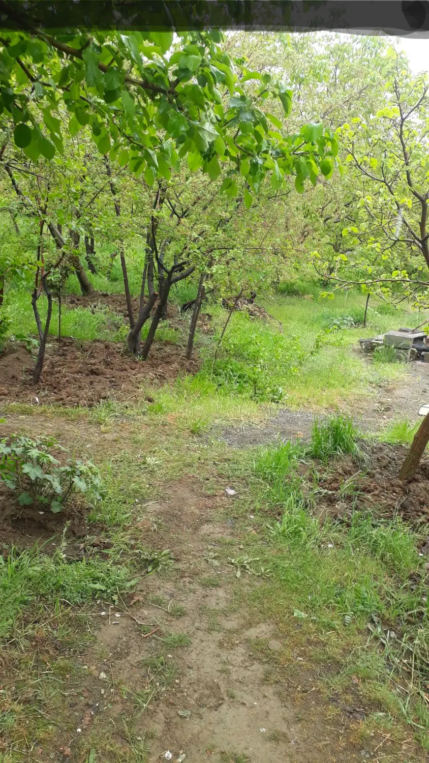 معاوضه زمین بالای شاهگلی
