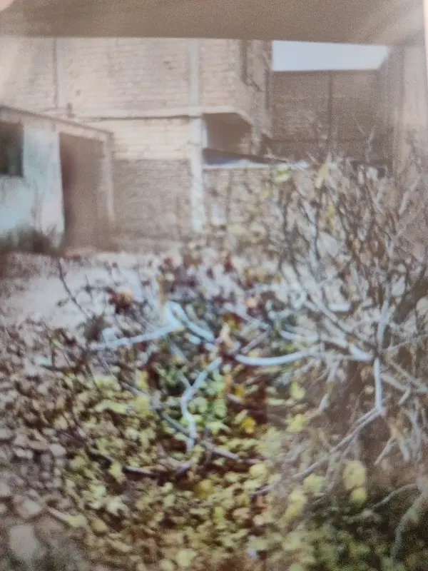 فروش چهار دیواری