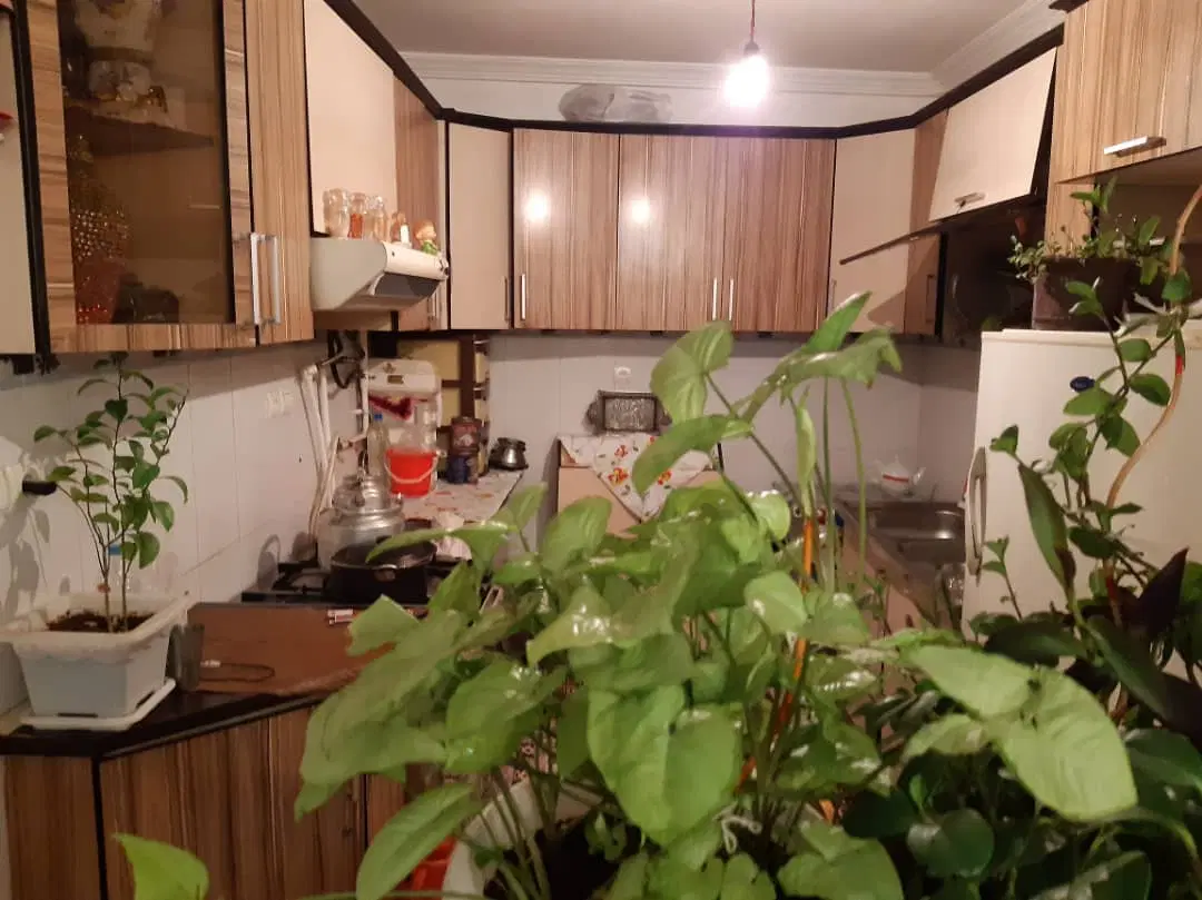 رهن آپارتمان دربست عباسی