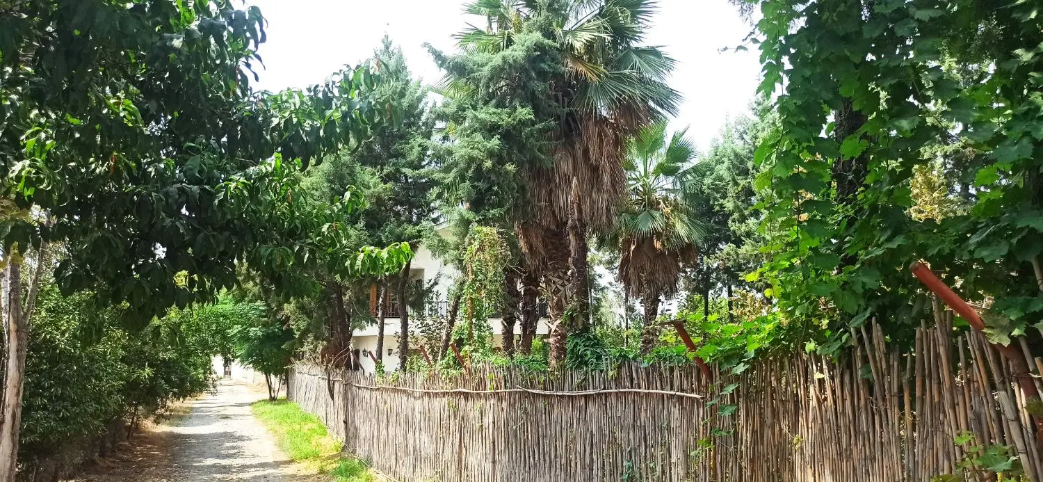 فروش زمین نزدیک گرگان