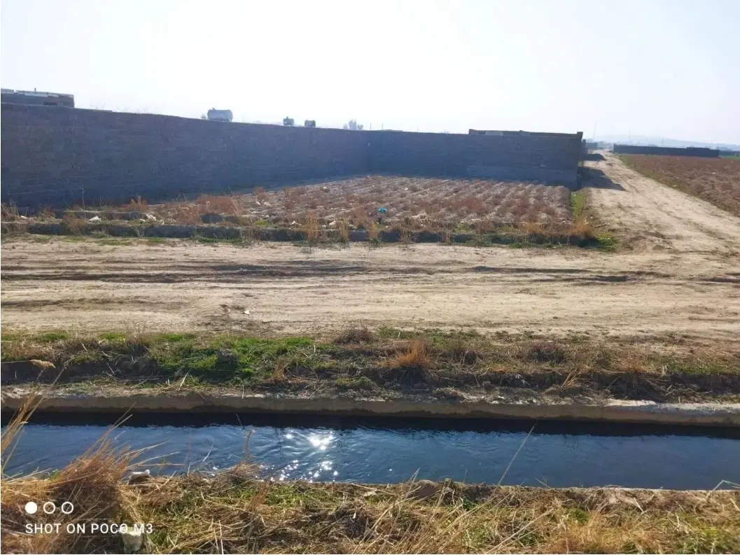 باغچه باغ کشاورزی