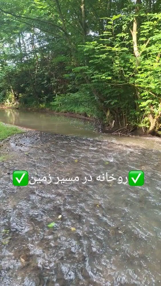 فروش زمین شالیزاری