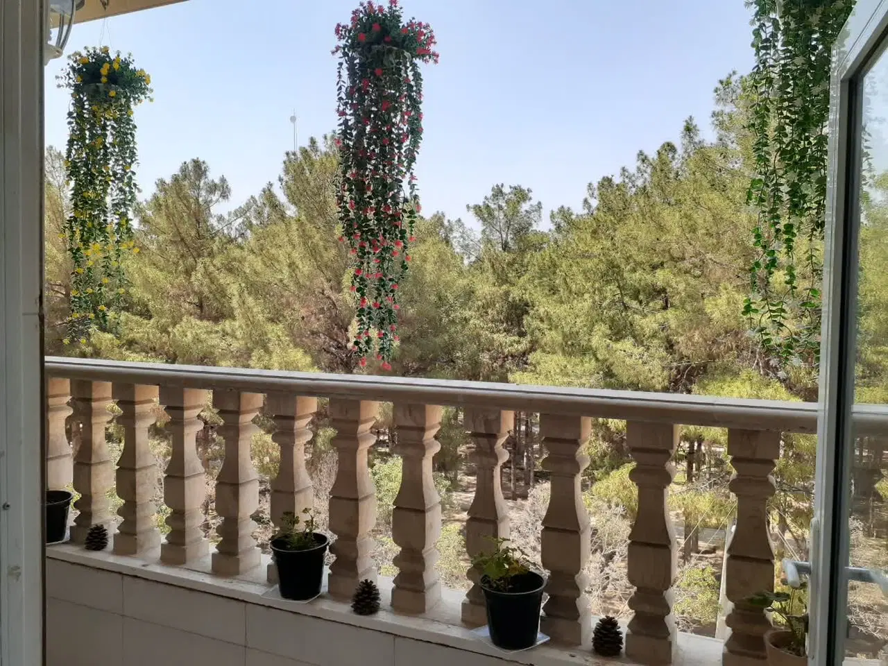 دهخدا ۵شرقی ۷۵ متر