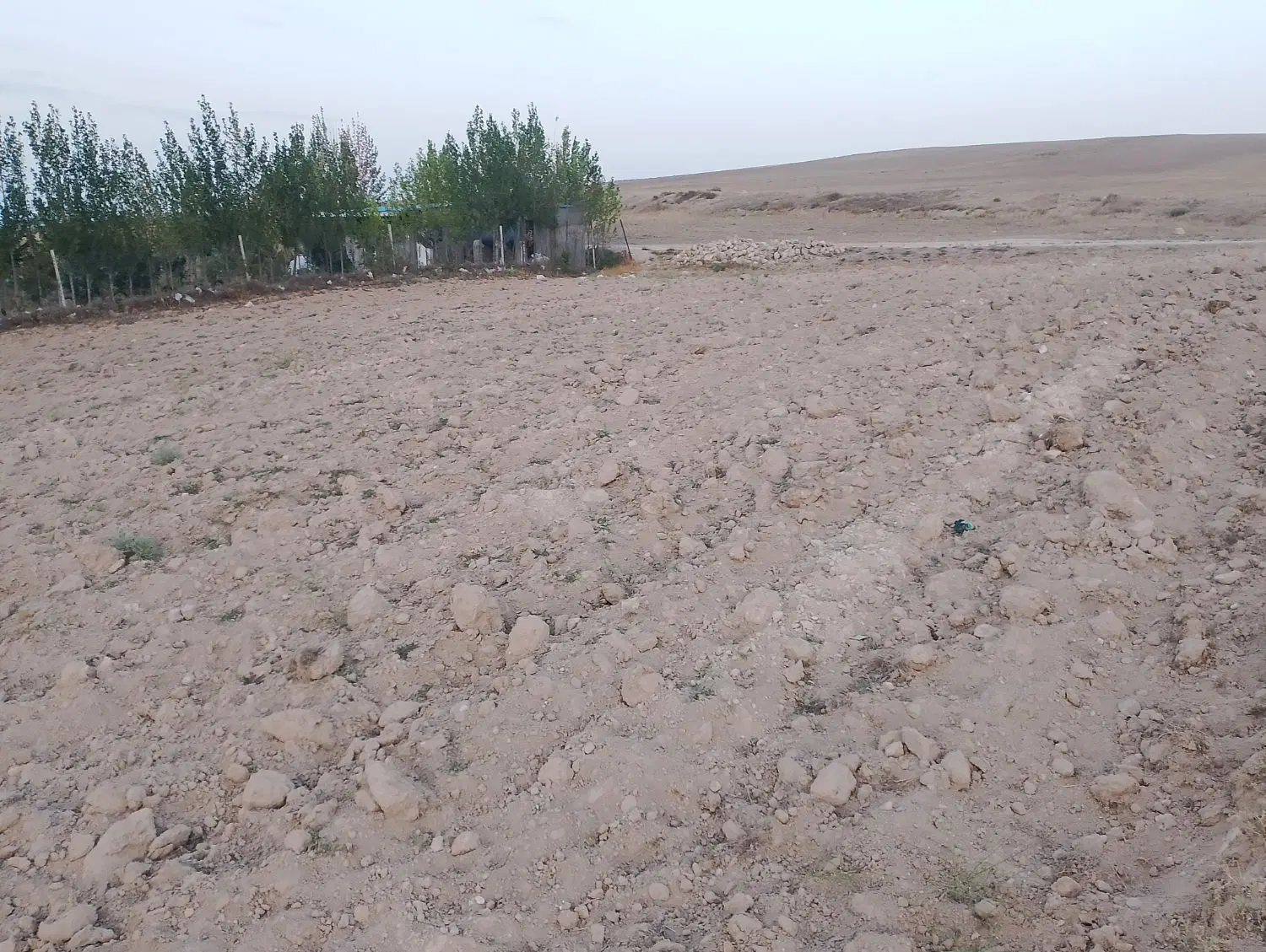 زمین برای باغ در شام اسبی