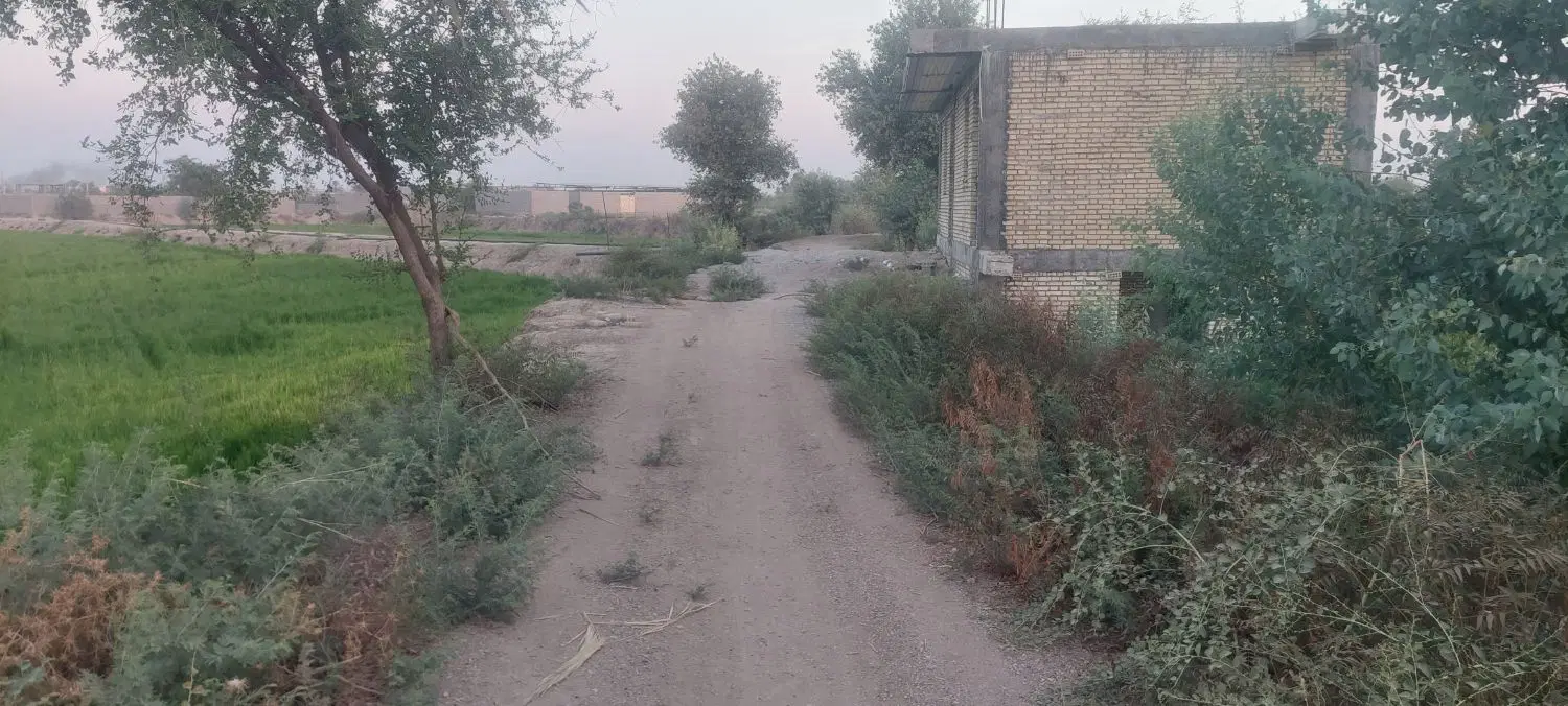 اجاره مکان برای کندوهای عسل