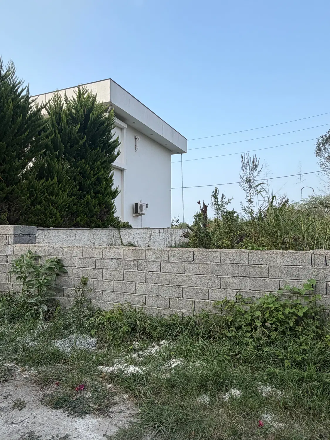 فروش ۱۲۰ متر زمین داخل بافت چالوس