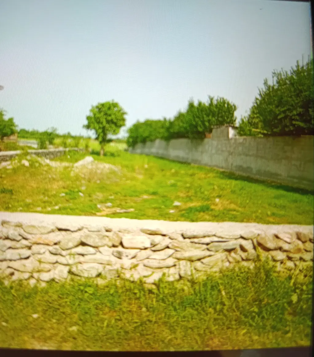 زمین مسکونی
