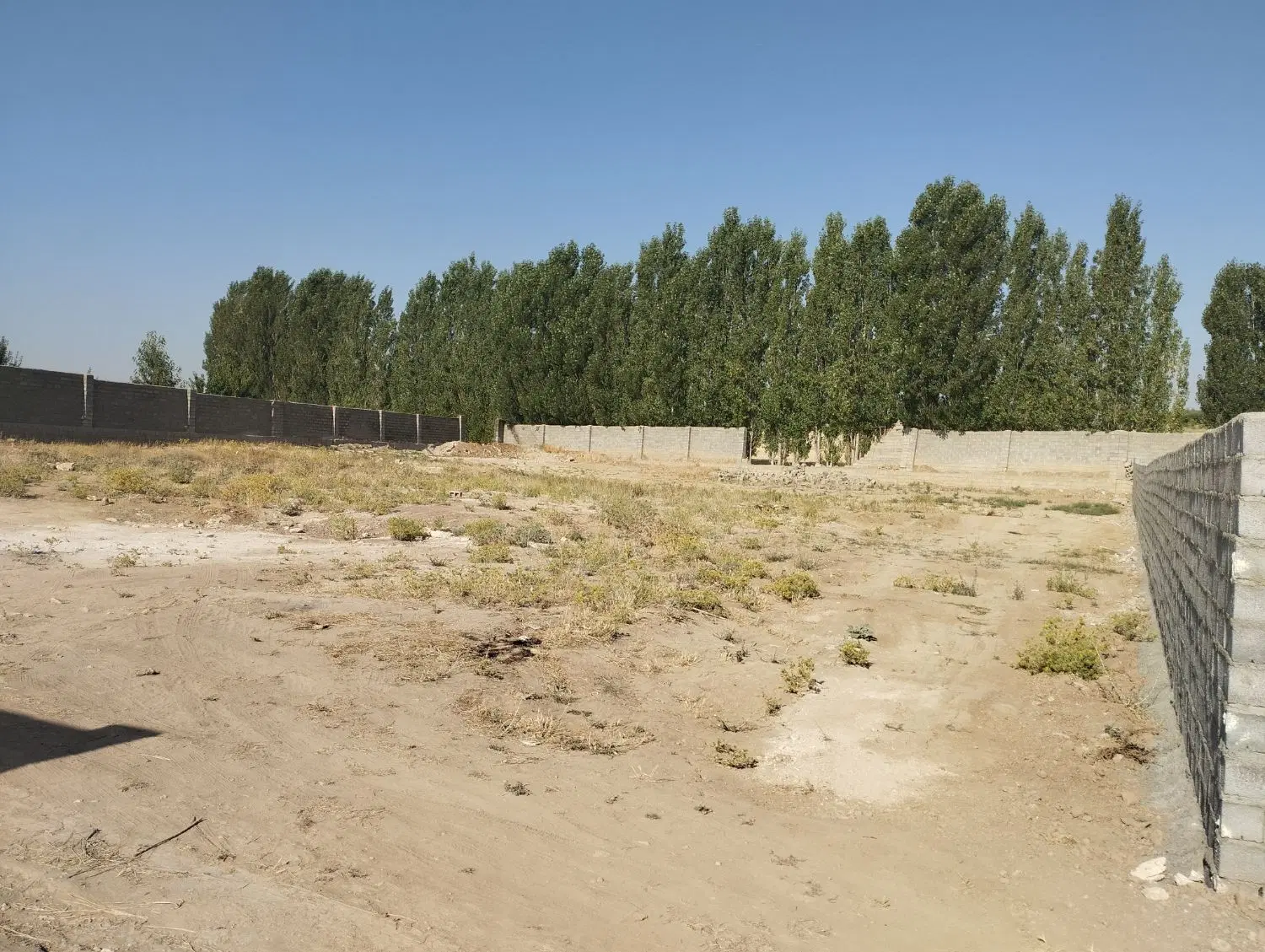 خانه باغ   دیوار کشی تغیرکاربری شد