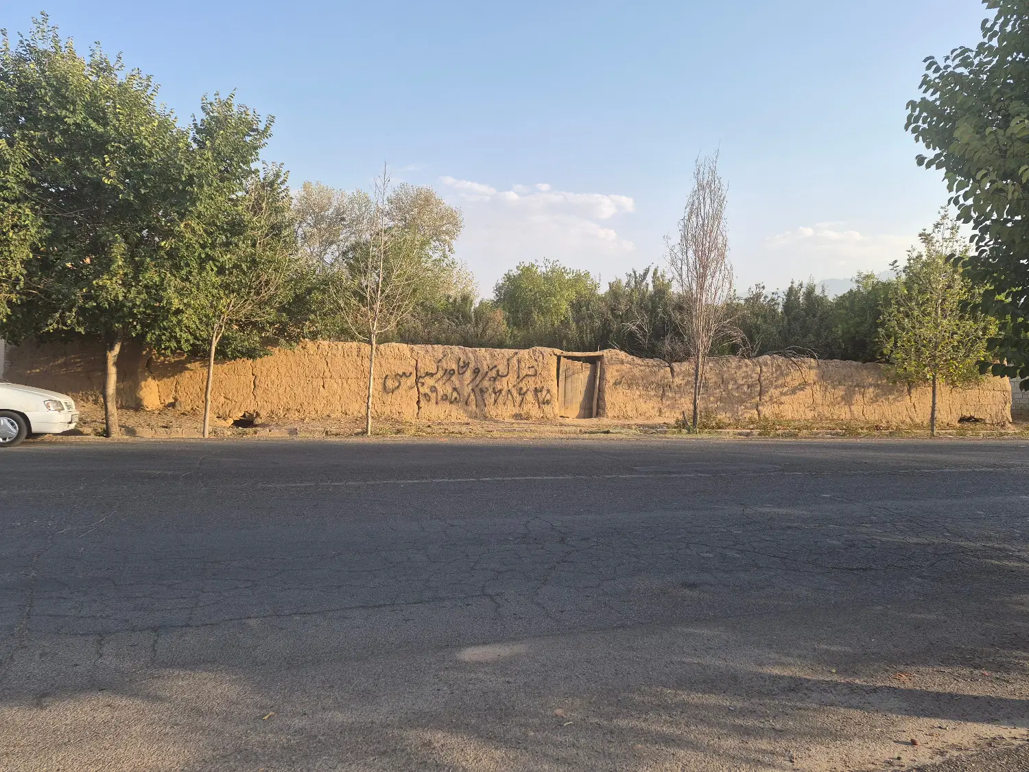 باغ ماهان  با سند تک برگ