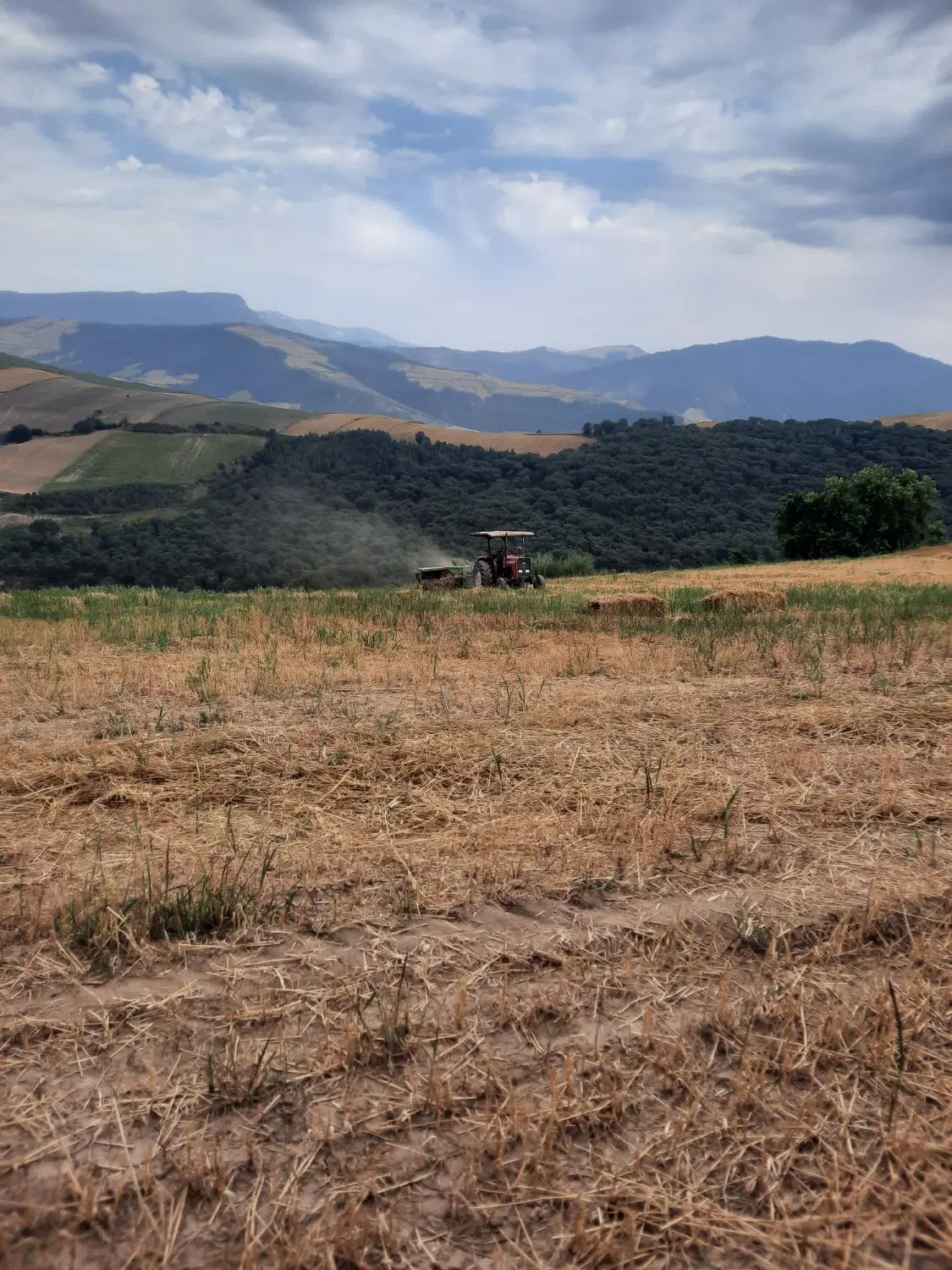زمین  مسکونی در کوسه خیابان وحدت