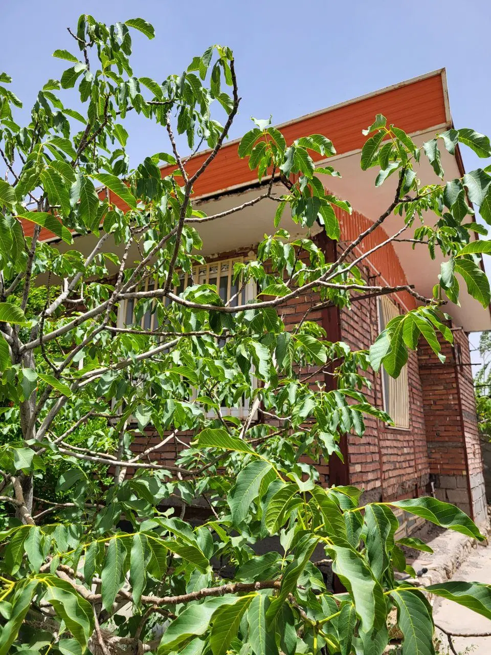 باغ ویلا