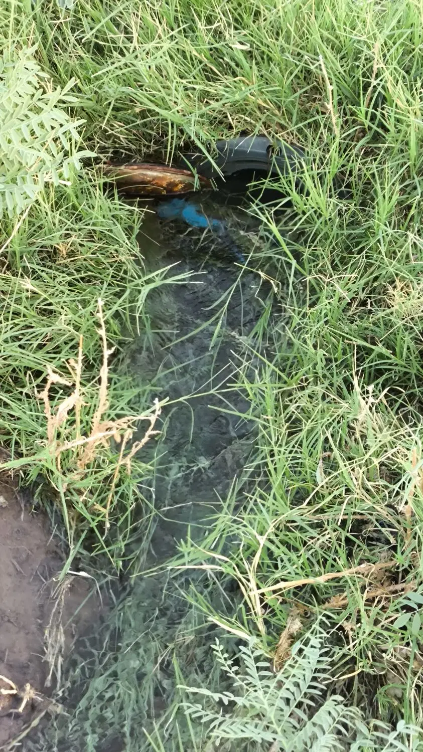 زمین پسته ای در باقر آباد
