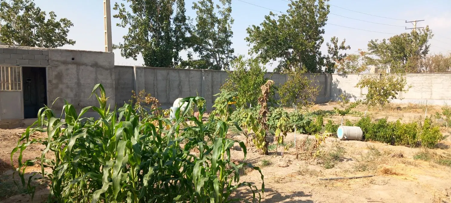 باغچه