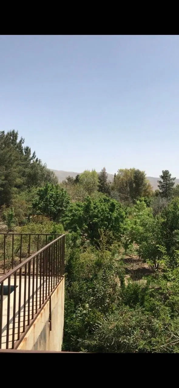 باغ واقع در تفهیان