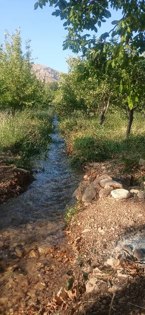 فروش یا معاوضه باغ سپیدان