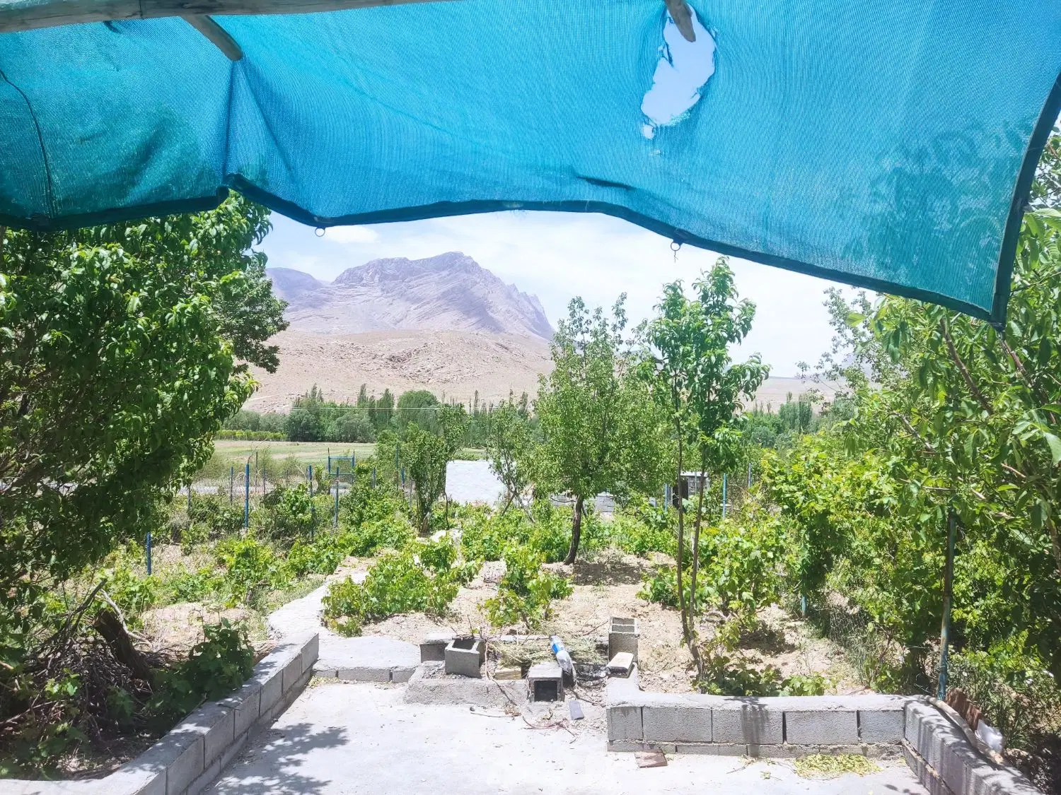 باغ با نمای ابدی