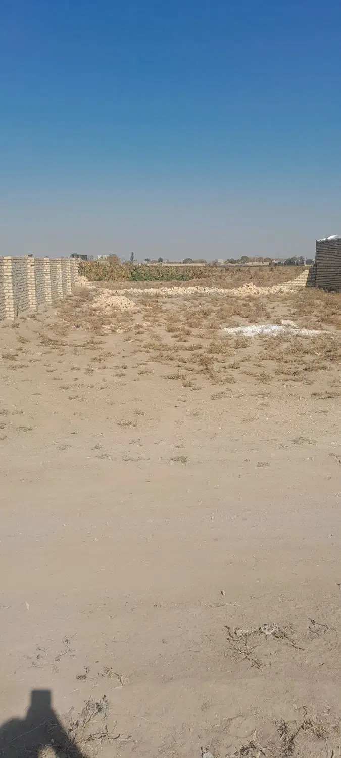 زمین دشتی