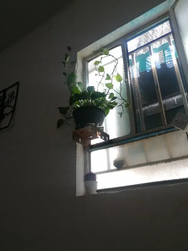 خانه اجاره ای بروات