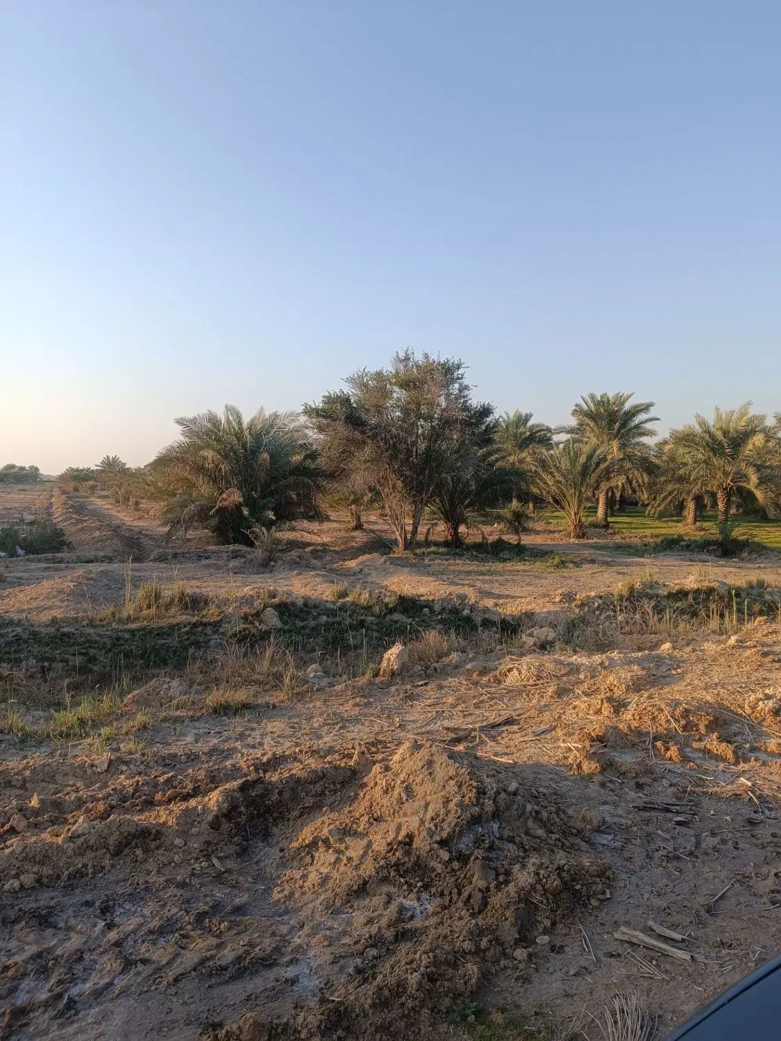 فروش زمین جراحی