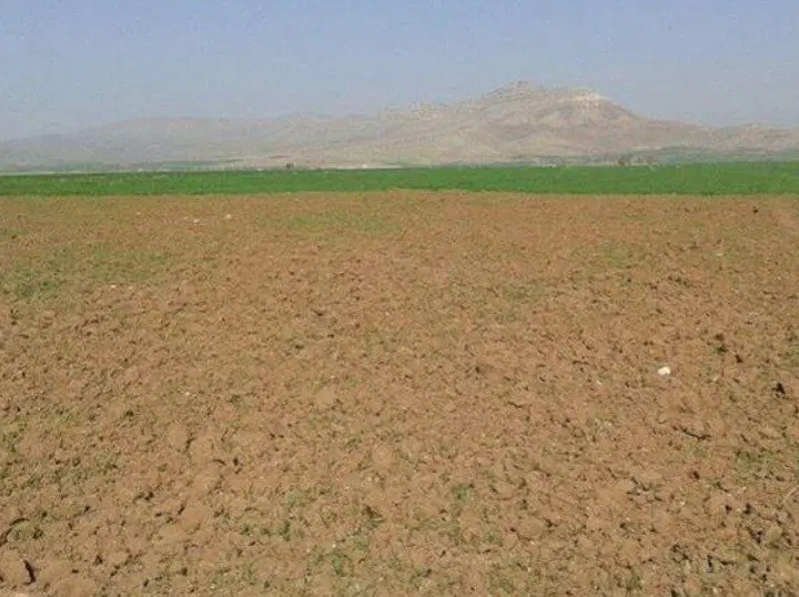 زمین مسکونی در ویستان پایین