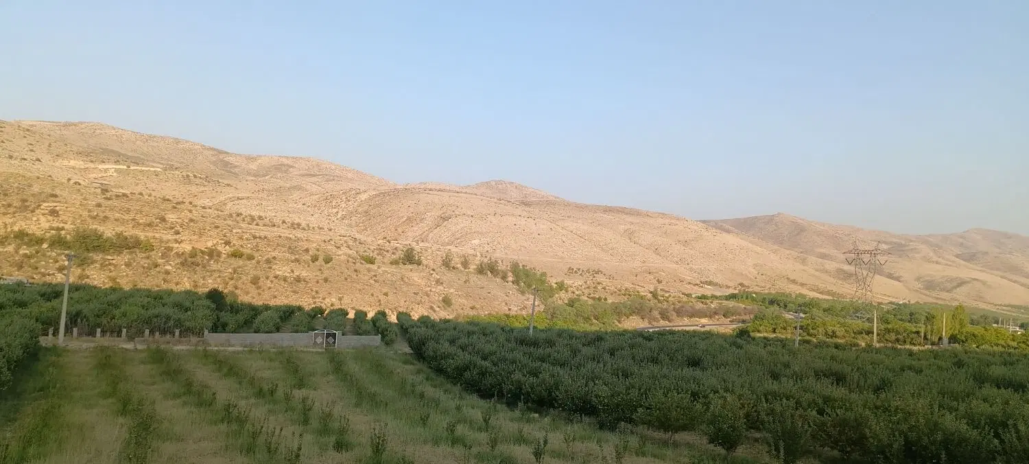 فروش زمین  وباغ