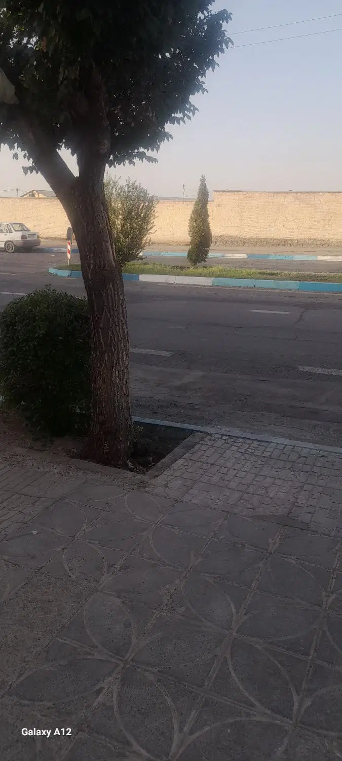 خانه اجاره ارغوانیه