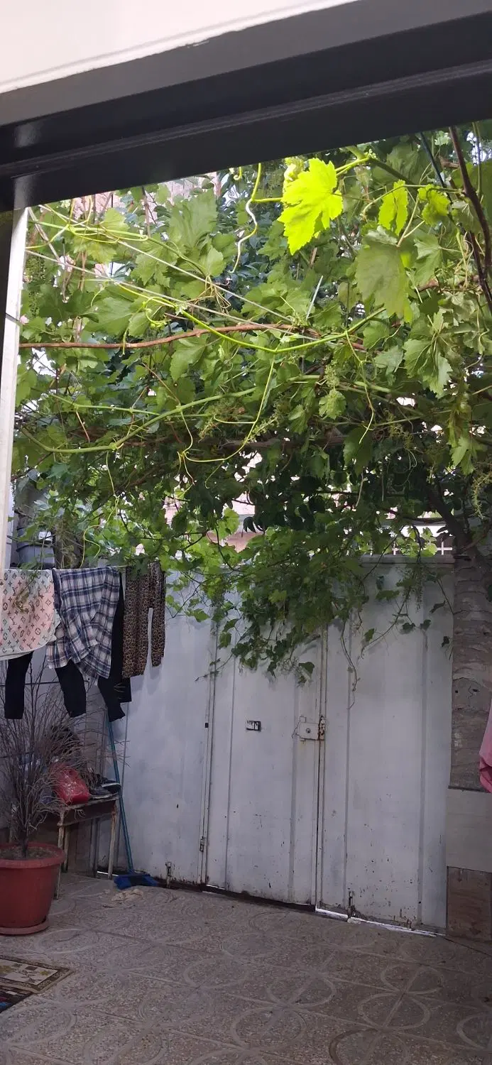 فروش خانه