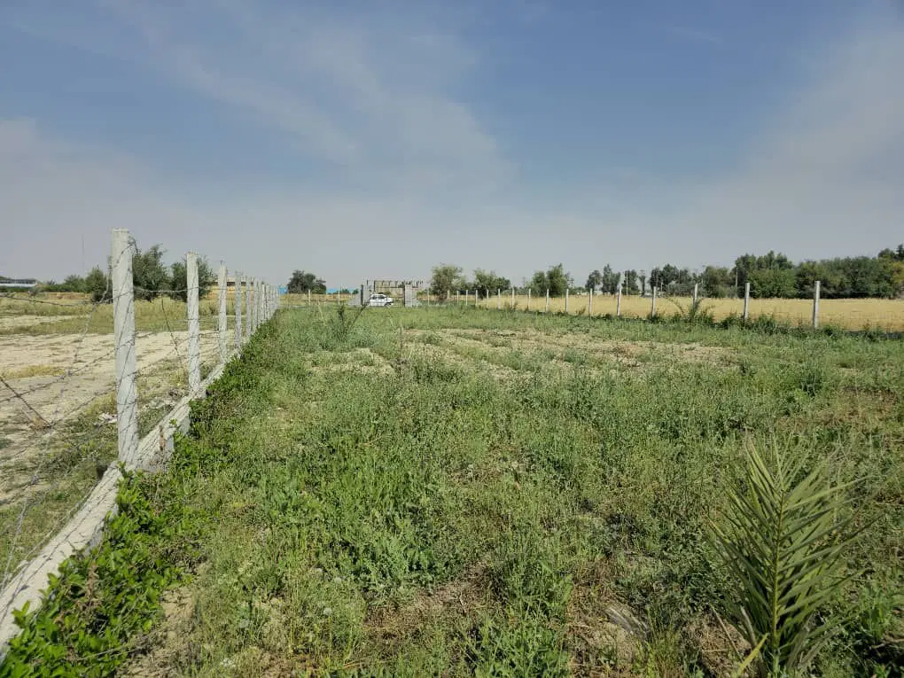 فروش زمین باغی زراعی