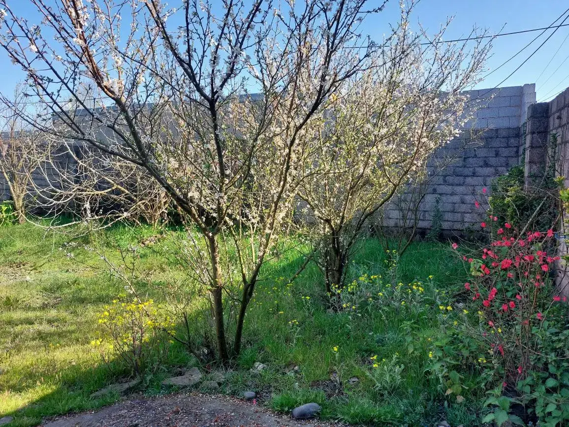 اجاره روزانه خانه ویلایی نزدیک به منطقه آزادانزلی