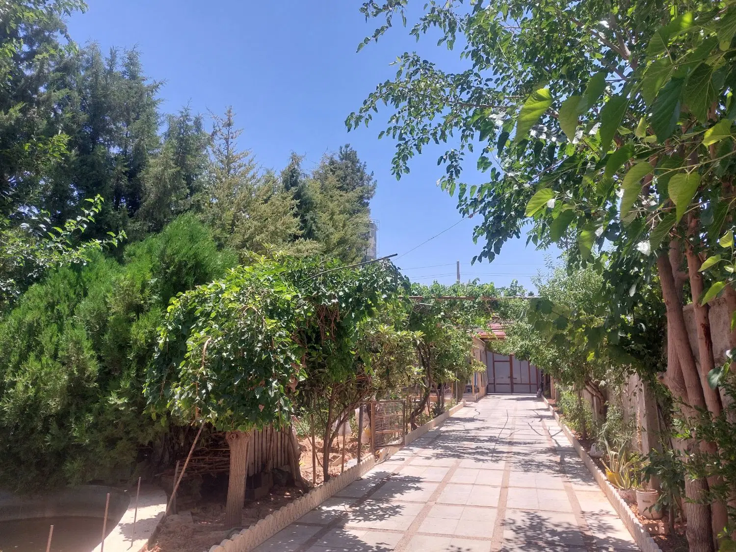 باغ ویلا گویم (زیتون) ۸۶۰ متری
