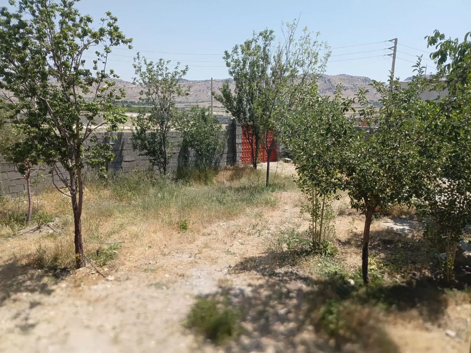 زمین مسکونی