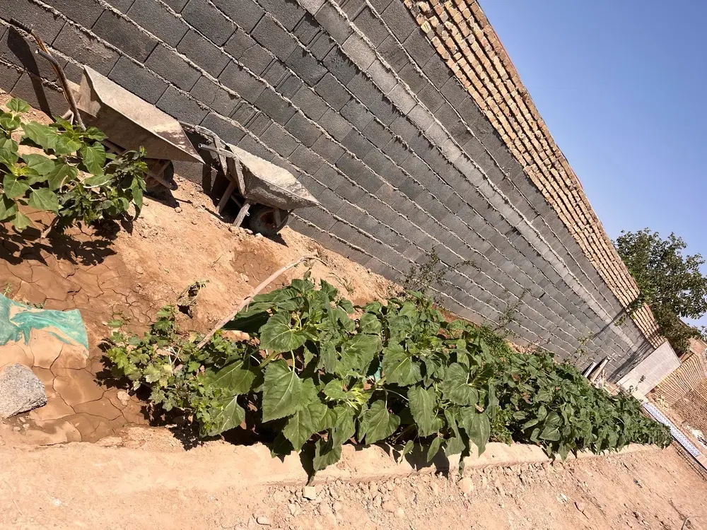 باغچه به متراژ ۸در۴۸