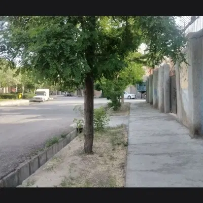 زمین