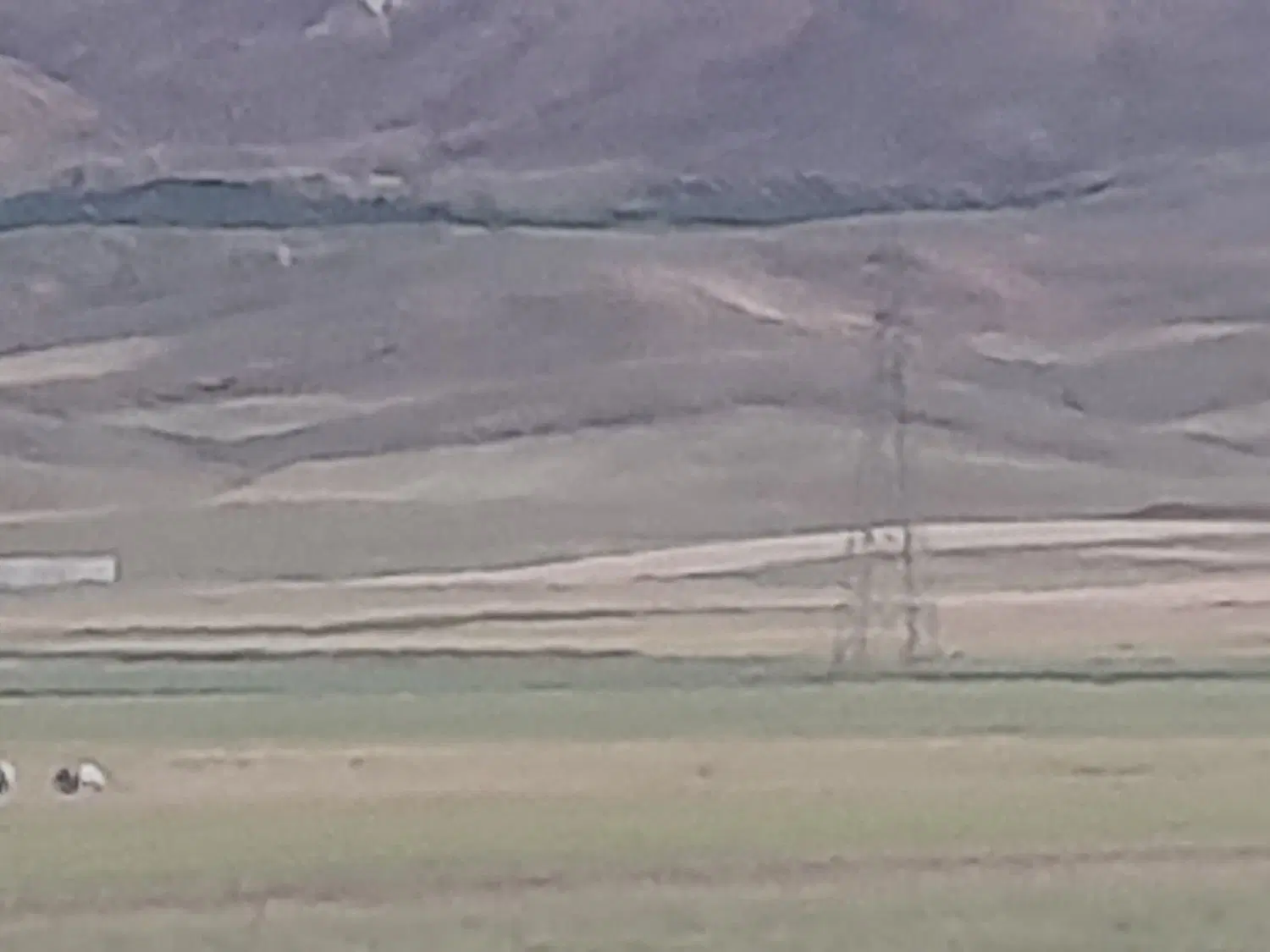 زمین کشاورزی
