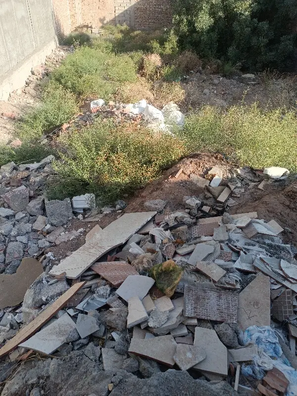 ده قصب زمین در کرمان