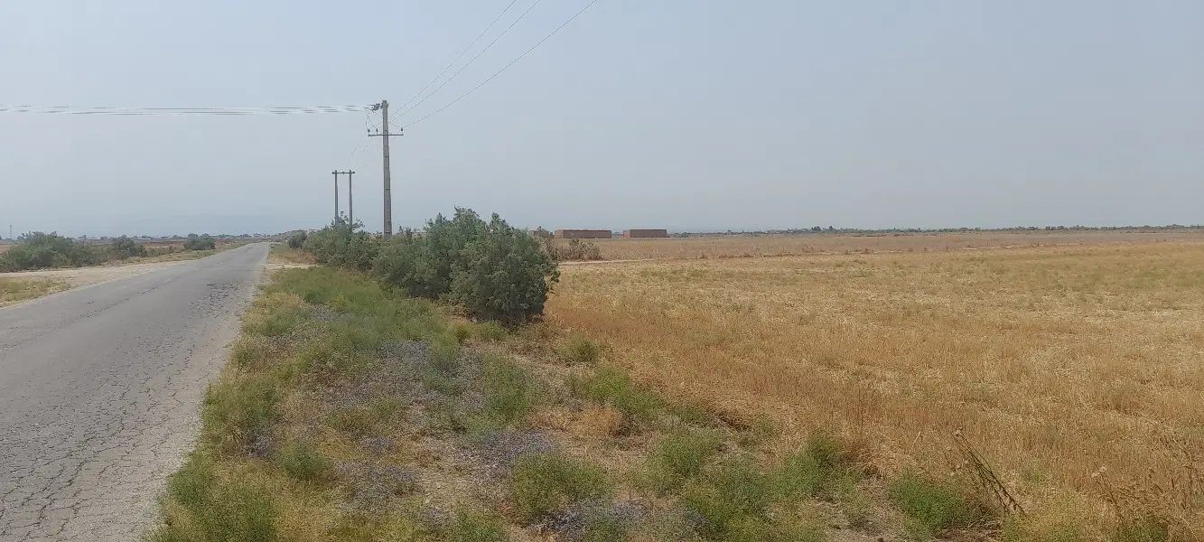 ۲.۵هکتار زمین کشاورزی در اسلام تپه