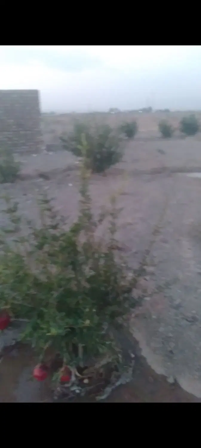 فروش زمین وباغچه