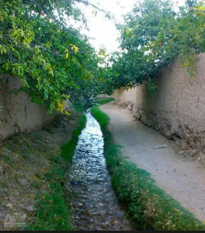 دوتاباِغ فروشی سودش ازطلا بیشتره مرزیجران مرزگران