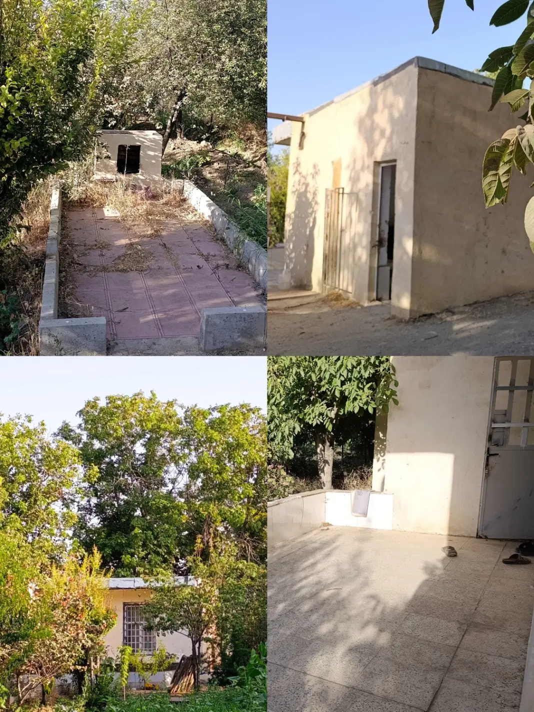 باغ و خونه باغی