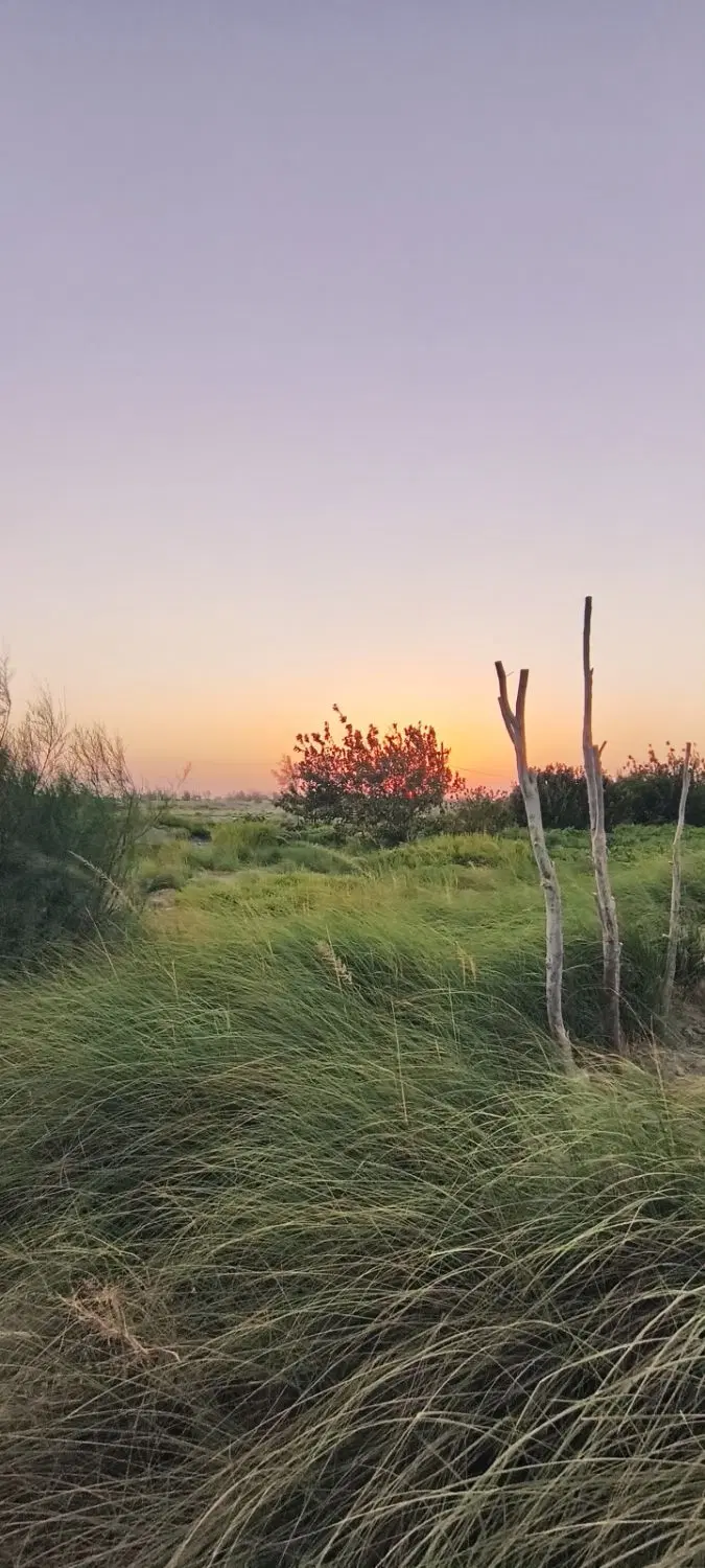زمین کشاورزی