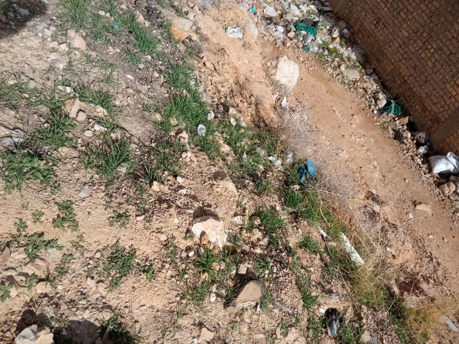 زمین.ملکی.