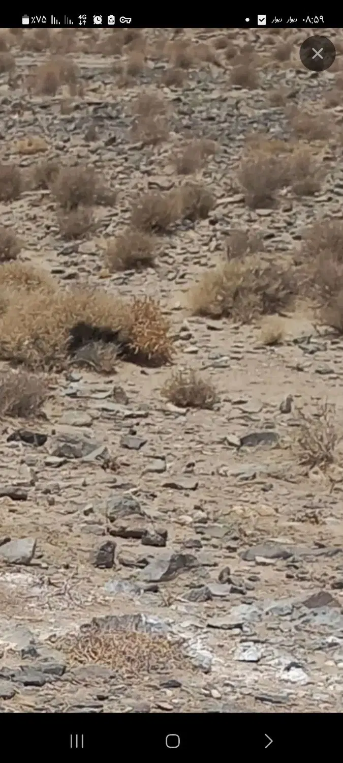 زمین چشمه زیارت