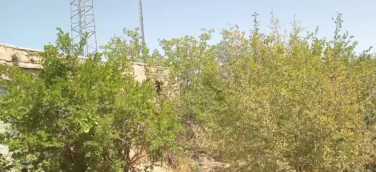 خانه ویلایی باغدار درشهر شاهرود رویان