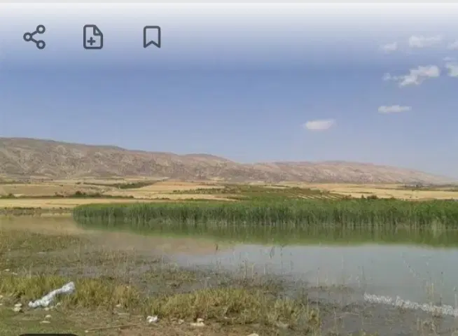 فروش زمین