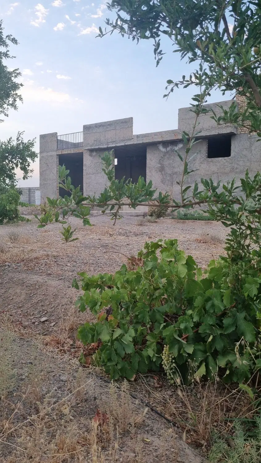 فروش باغ در جلال اباد