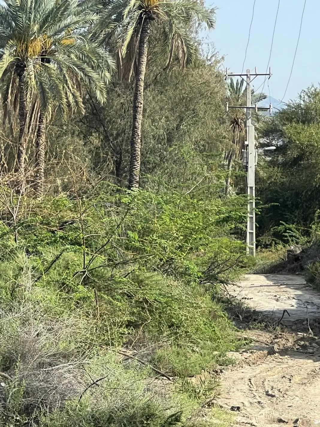 فروش زمین
