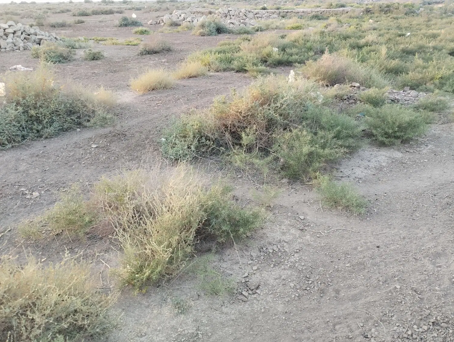 زمین۱۲۶متر