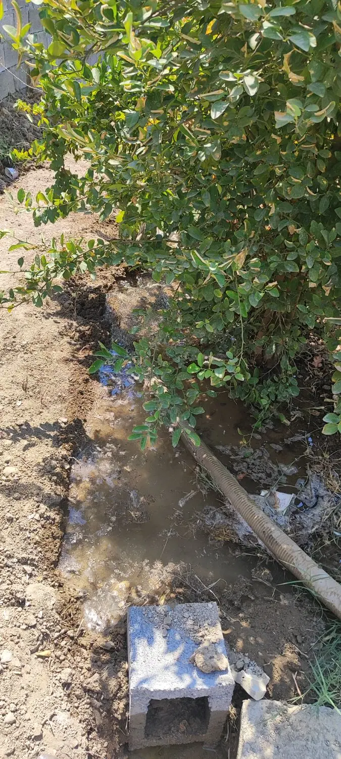 فروش باغ