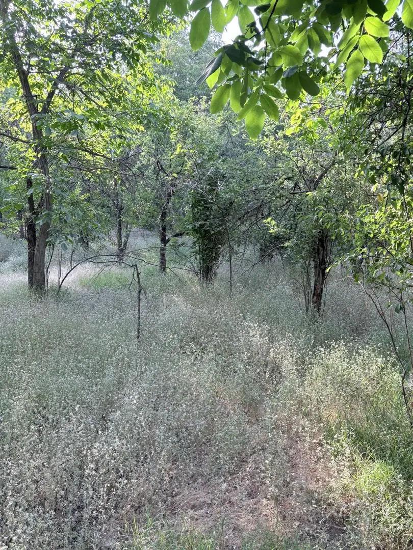 خانه باغ در تویسرکان